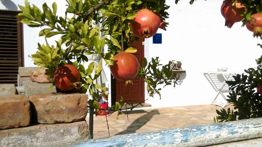 Soni Hébergement de vacances *