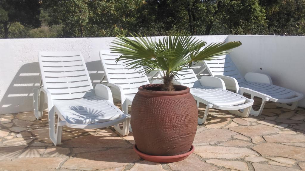 House Soni - 800 M From The Sea * Rovinj