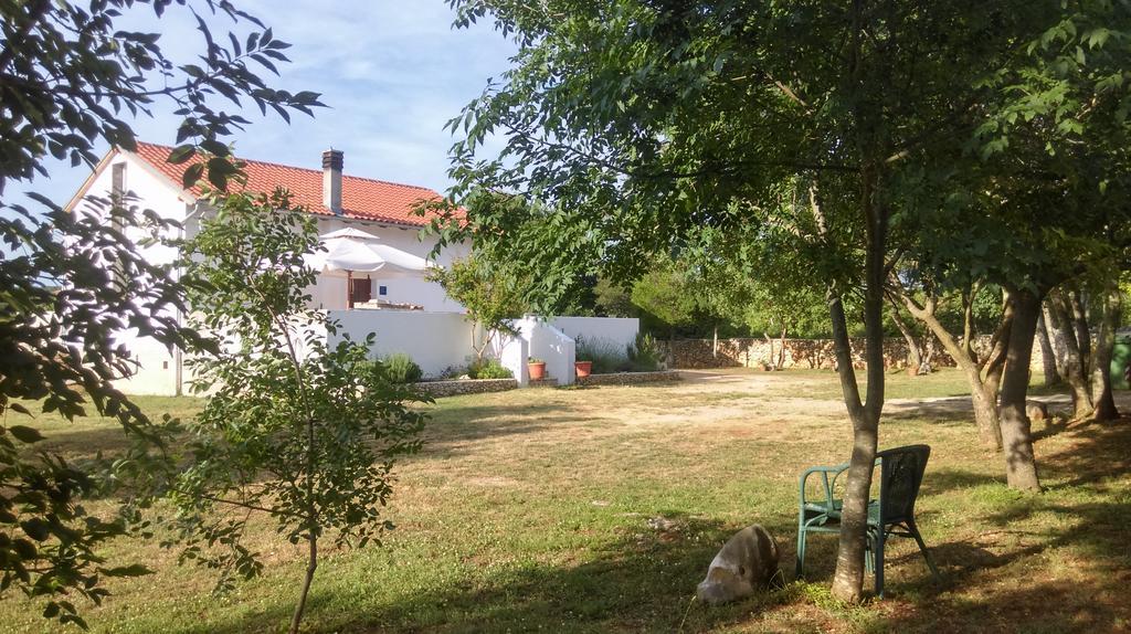 Holiday home House Soni - 800 M From The Sea Rovinj