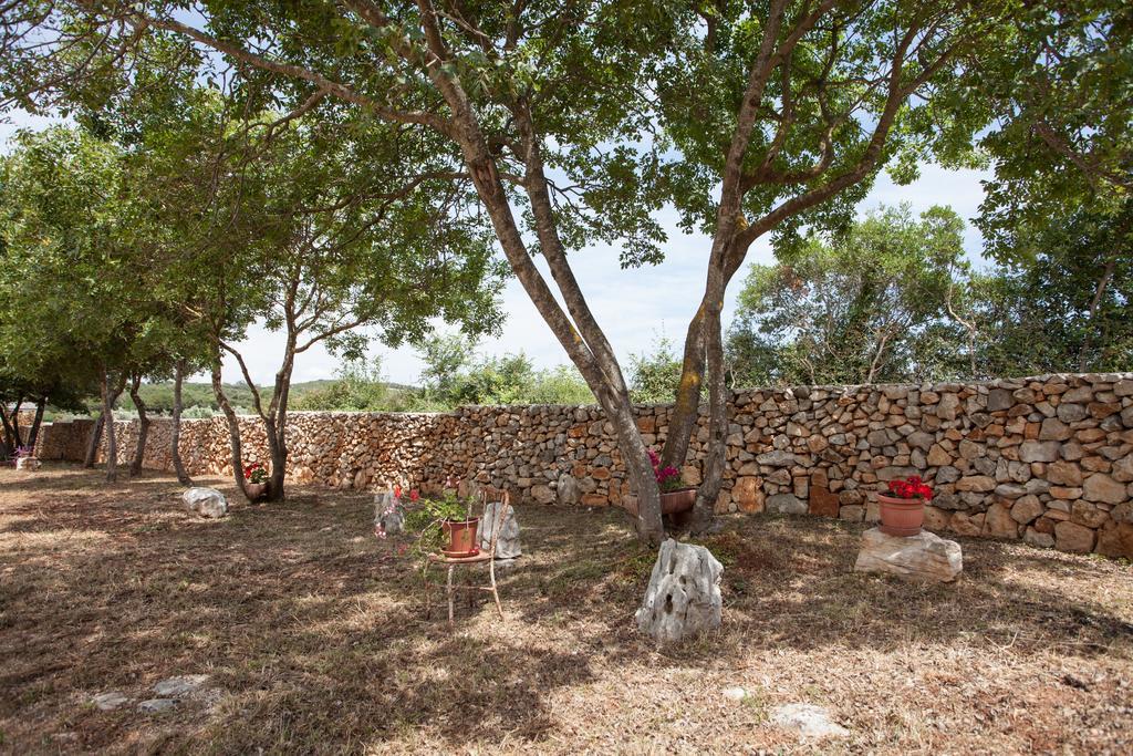 House Soni - 800 M From The Sea