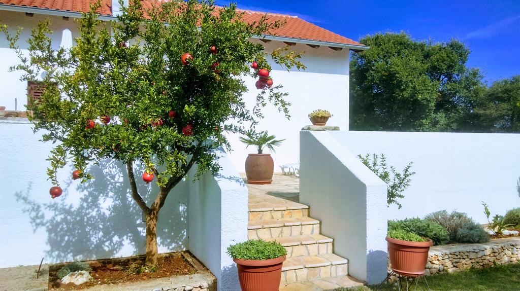 Holiday home House Soni - 800 M From The Sea *